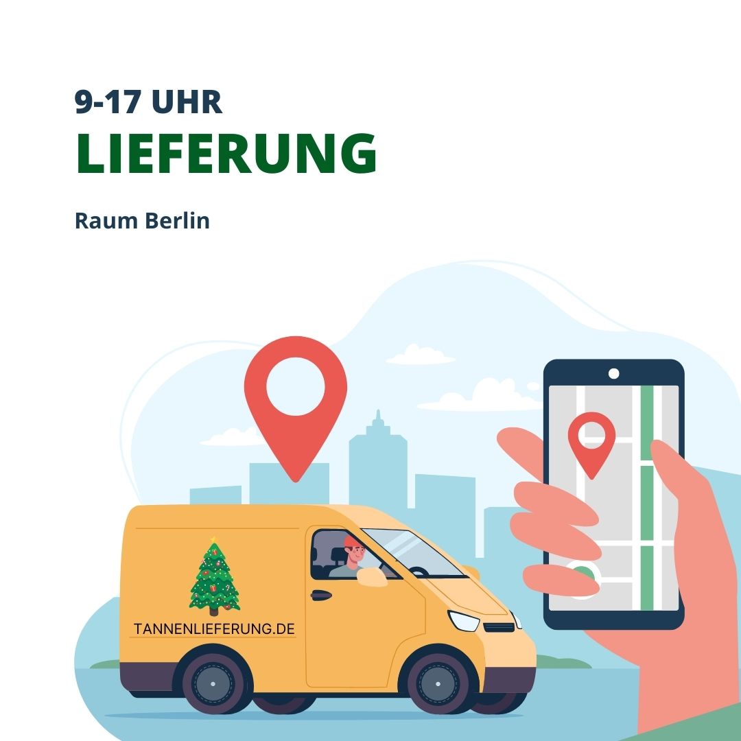 Weihnachtsbaum Lieferung Raum Berlin mit eigenem Fahrer