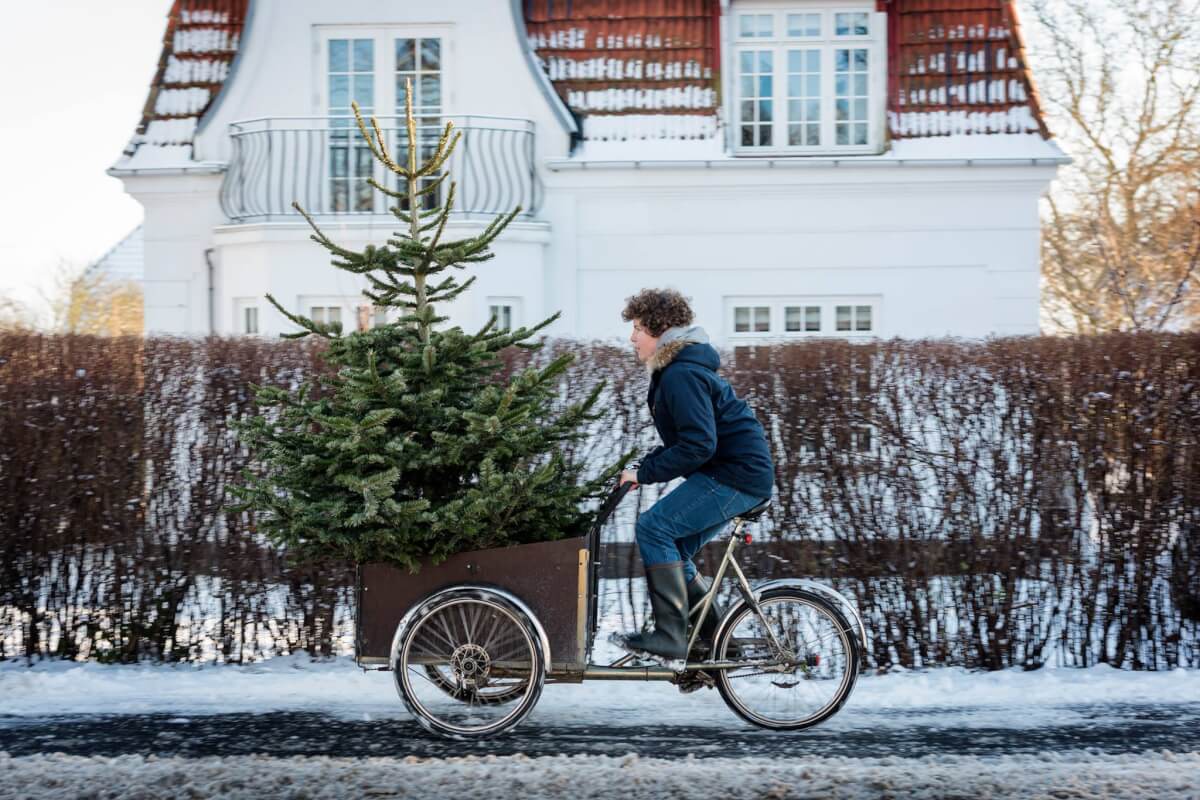 Weihnachtsbäume für alle: Unser Angebot für Unternehmen, Einrichtungen und Privatkunden