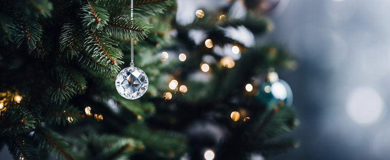 Haltbarkeit – So bleibt dein Weihnachtsbaum frisch
