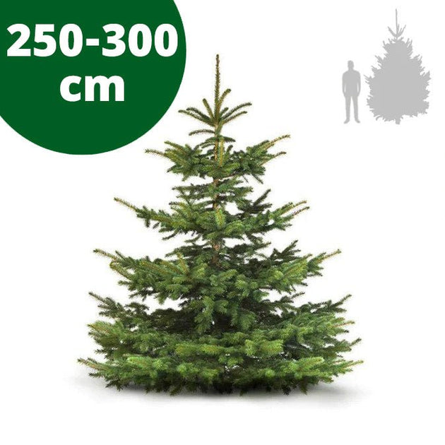 künstlicher weihnachtsbaum 250 Perfekter Weihnachtsbaum 250–300 cm – Lieferung Berlin