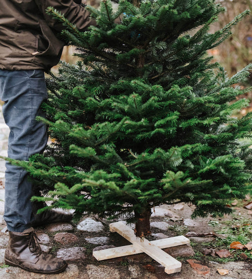 Weihnachtsbaum